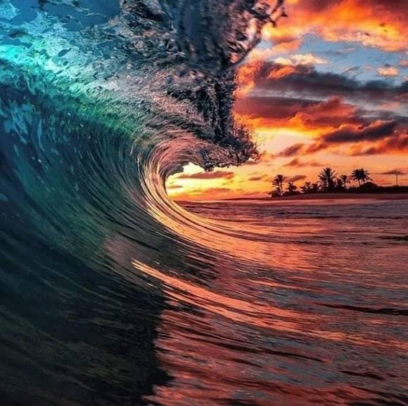 Meet your Posher, Nikki - Picture 1 of 1